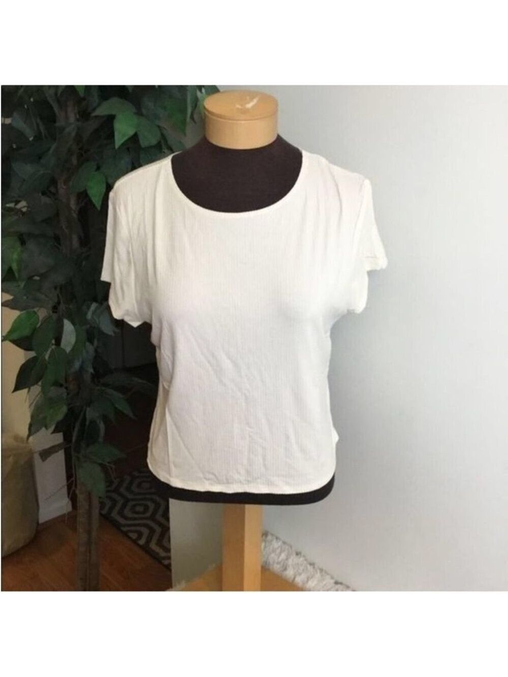 POPSUGAR cream Ribbed Crewneck Short Sleeve Crop Top XXL NWT